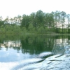 Widoki